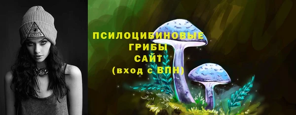 тгк Гусиноозёрск