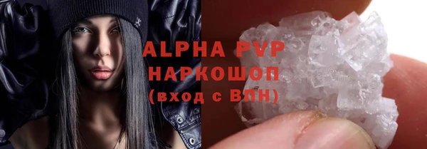 PSILOCYBIN Дмитриев