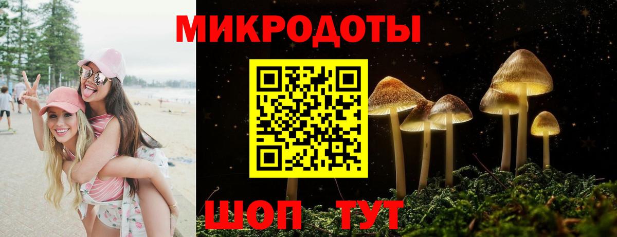 Псилоцибиновые грибы GOLDEN TEACHER Саранск