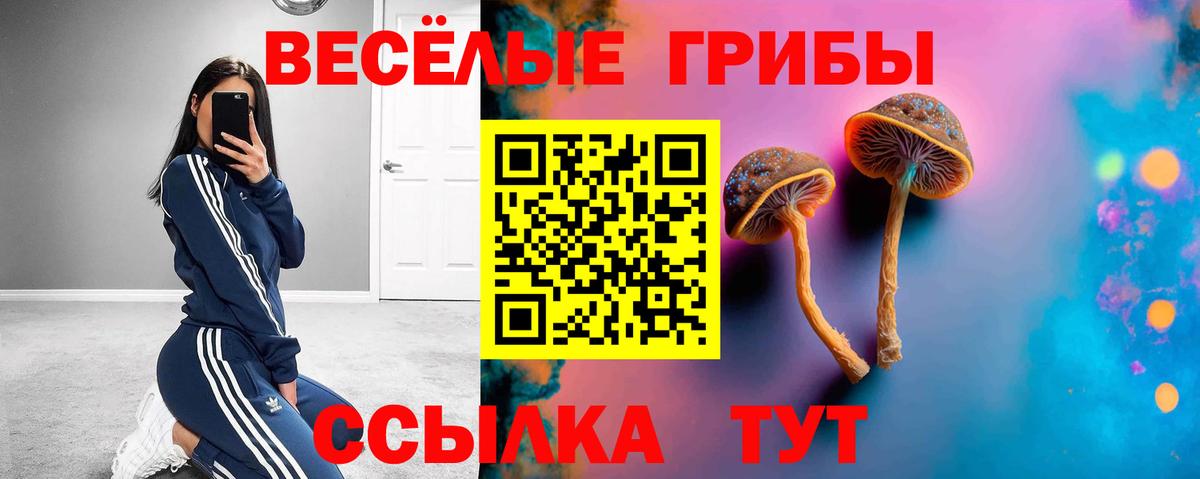 Галлюциногенные грибы Psilocybine cubensis  Вход с VPN  купить  цена  Саранск 